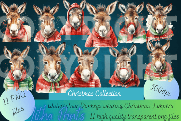 Download Donkeys in Christmas Jumpers - Jumpers Collection
